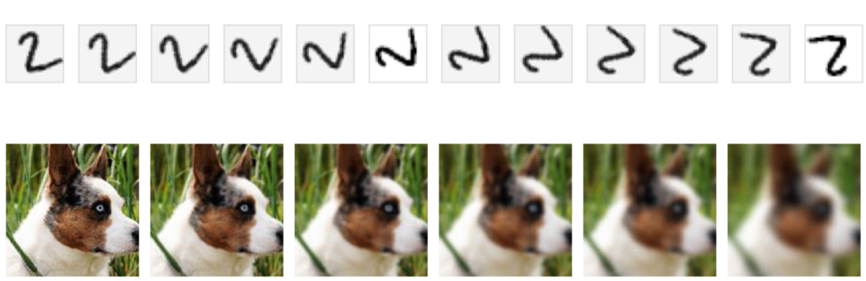Example images from the (top) rotated MNIST and (bottom) corrupted CIFAR-10 benchmarks. (Top) An image of the digit 2 is increasingly rotated. (Bottom) An image of a dog is increasingly blurred.